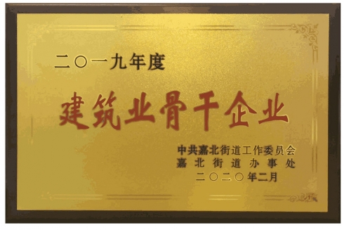 2019年度建筑骨干企業(yè)